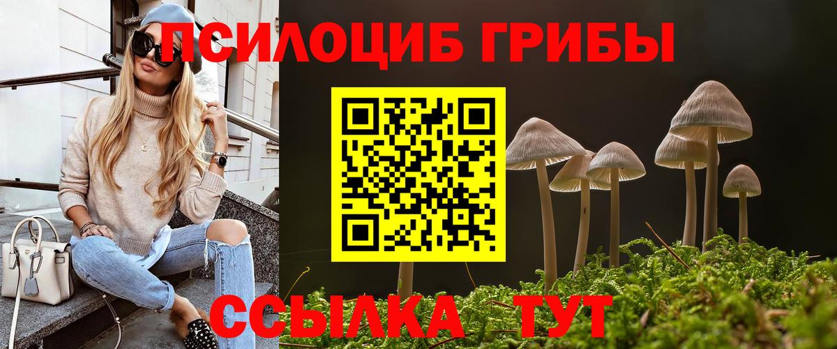 Семилуки  Псилоцибиновые грибы Psilocybe  что такое наркотик  Вход с VPN  Псилоцибиновые грибы мухоморы 