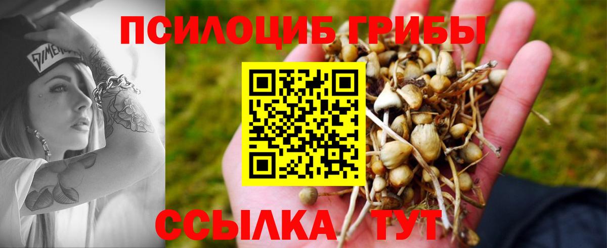 Галлюциногенные грибы GOLDEN TEACHER Семилуки